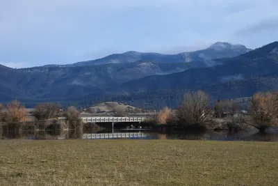 DSC_5776 (Large).JPG